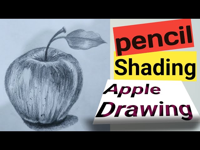 My colored pencils art of apple — Steemit